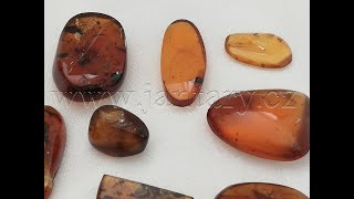  Křídový jantar SJ-20