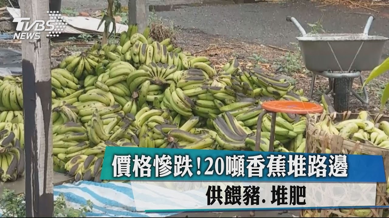 價格慘跌!20噸香蕉堆路邊 供餵豬、堆肥