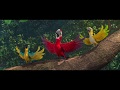 Rio Real In Rio Ending Movie Scene