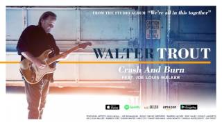 Walter Trout - Crash And Burn (feat. Joe Louis Walker) (We&#39;re All In This Together) 2017