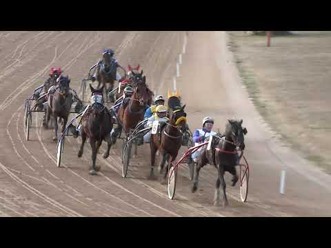 2020.02.29. 04. futam - BŰVÉSZ HENDIKEP