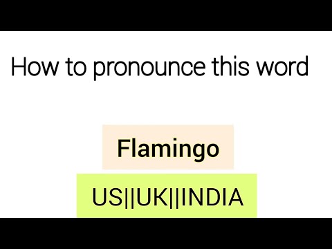 How to pronounce Flamingo in US||UK||INDIA