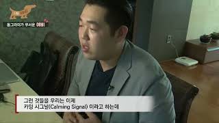 [BDNS sketch] 천재 애견전문가의 강아지 심리 분석법