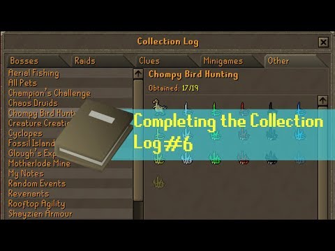 Treasure Trail Collection Log Detailed Login Instructions Loginnote