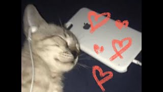 Thinking about him playlist