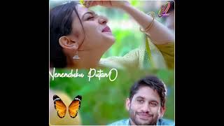 Neevente_nenunte_Raarandoi Vedika chudam_Naga chaitanya_Rakul Preethi singh