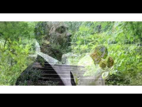 Black harmony - Gwenti