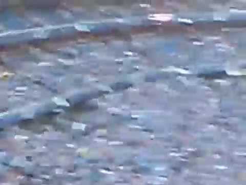 grenal 403 GREMIO 4 x 1 coloridas