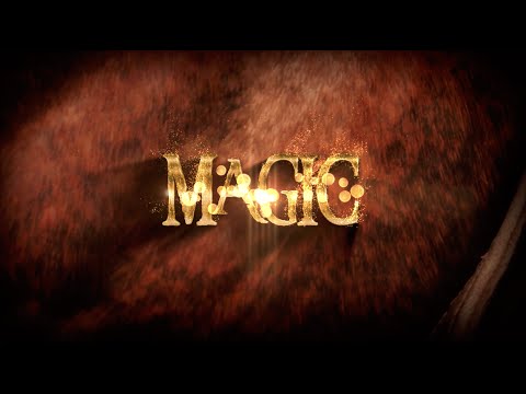 Willow Magic: Son of Dubawi