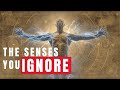 15 Hidden Human Senses That Neuroscience Reveals Shape Reality