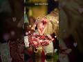 Hartalika Teej Status Happy Hartalika Teej Teej Status For WhatsApp Teej Song Song Teej