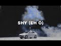 penomeco - shy (eh o) (slowed + reverb)