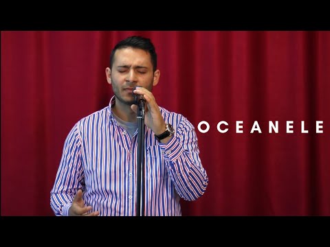 OCEANELE - Onita Halunga