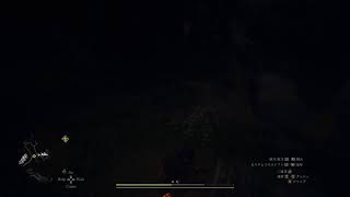 ドラゴンズドグマ2　プレイ