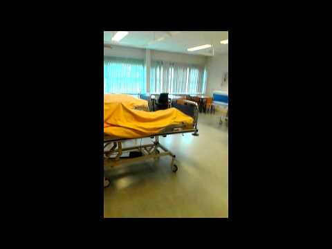 Lipdub Zadkine SWO 2014.