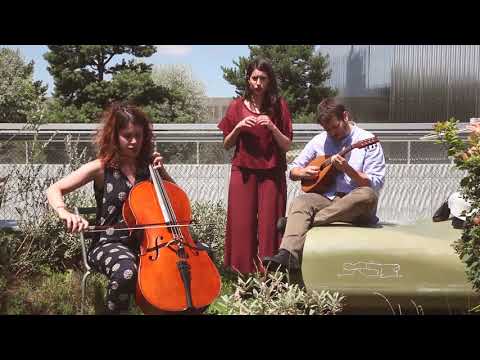 Revision - Lu Purtuni