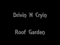 Drivin N Cryin  Roof Garden