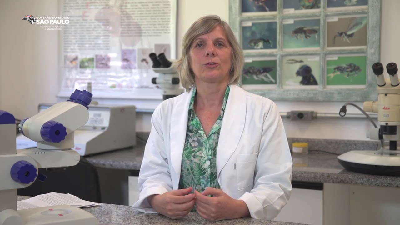 Controle biológico - Trichoderma - Cleusa Lucon