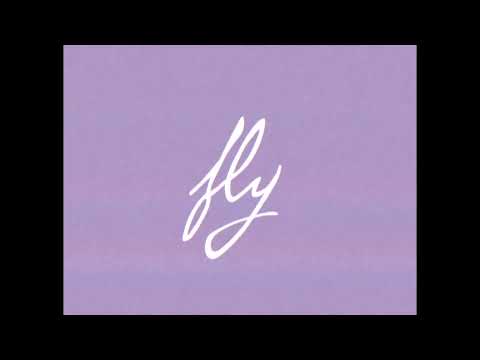 Nightbirde - Fly (Pop) [Official Lyric Video] #fly #nightbirde #itsok