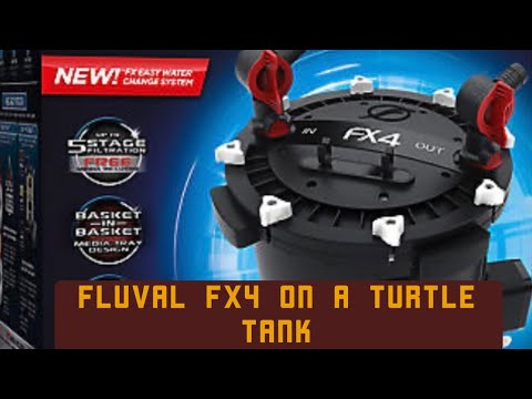 Can you use a Fluval FX4 for a ￼turtle tank #fluval #fx4 #canisterfilter