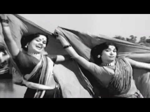 Varakatnam || Sye Sye Jodedla Bandi Video Song || NTR, Krishna Kumari