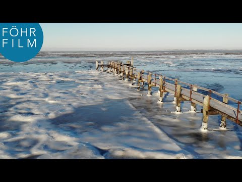 30 SEKUNDEN FÖHR #8