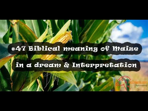 Maize in a Dream - Biblical Meaning & Interpretation