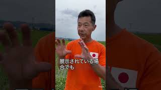 #つばた猫の会　#動物愛護　#津幡町  #参政党