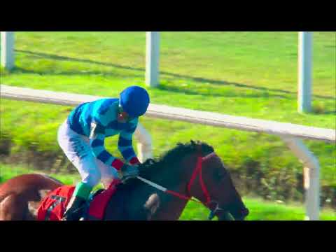 240211 c06 - DISCREET QUEEN - HIPODROMO DE MAROÑAS - HANDICAP ESPECIAL ANDRES RAMPONI LORDA