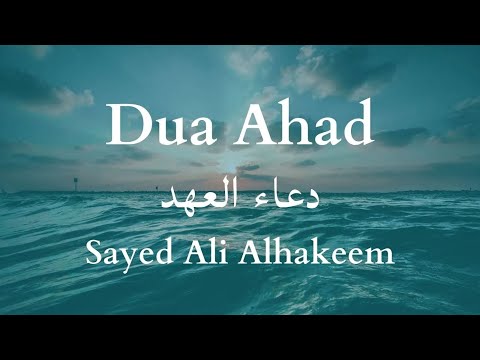Dua Ahad | Sayed Ali Alhakeem (with English Subs) دعاء العهد السيد علي الحكيم