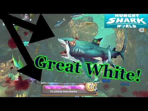 GREAT WHITE SHARK! | Hungry Shark World | + Unlocking the Megalodon!