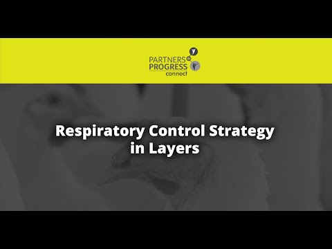 Respiratory Control Strategy in Layers