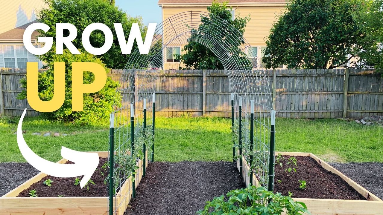 This DIY Garden Arch Trellis is a GAME-CHANGER