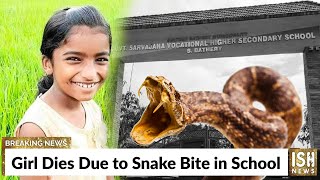 Girl Dies Due to Snake Bite in School