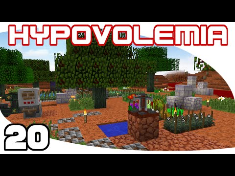 Hypovolemia - Ep. 20: Area Beautification and The End