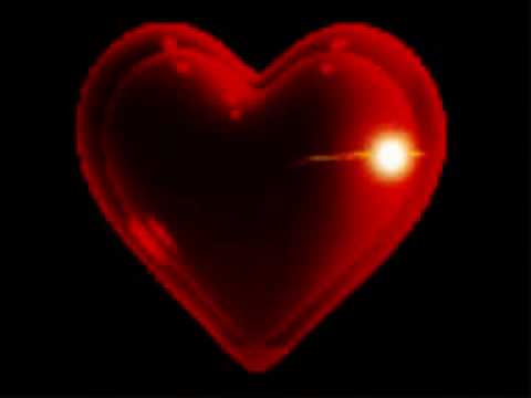 lovesong 4 kids.wmv