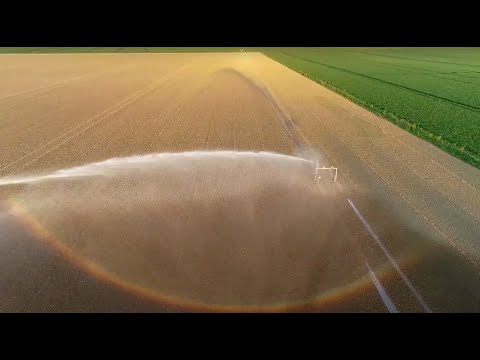 Rencontre éphémère entre l’eau et la lumière