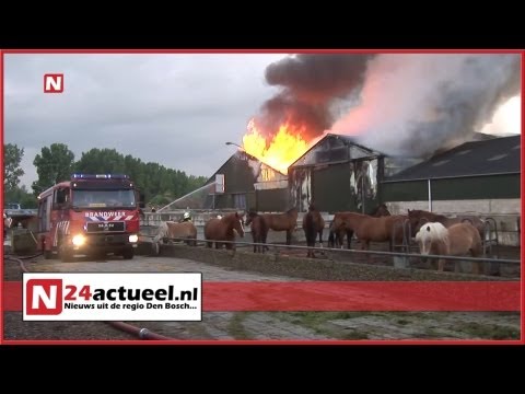 Paardenmelkerij verwoest door brand in Oijen
