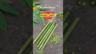 Download lagu nostalgic bamboo toy shot mp3