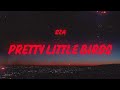 SZA Pretty Little Birds Lyrics Feat Isaiah Rashad