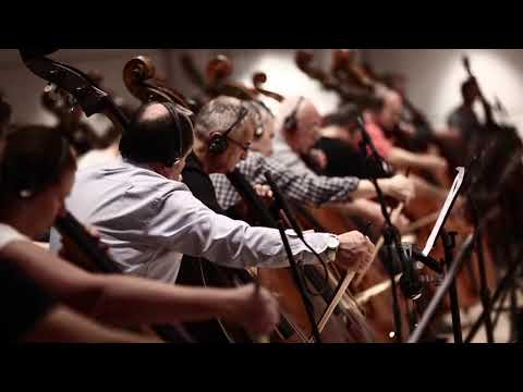 8Dio 66 Basses - Session Footage