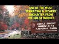 #DOGMAN, ONE OF THE MOST TERRIFYING & BIZARRE ENCOUNTERS FROM THE GREAT SMOKIES