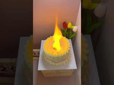 BÁNH KEM ĐỐT CHÁY | THẢO NGUYÊN CAKE