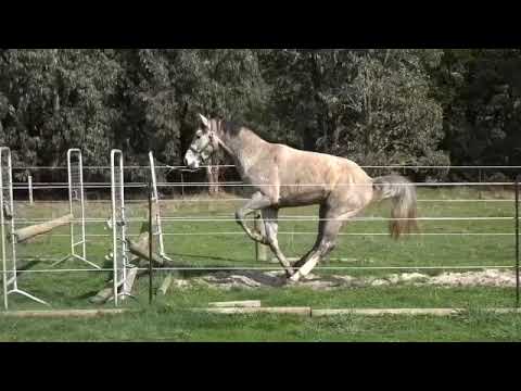 Tulara Ziniero 18 Aug