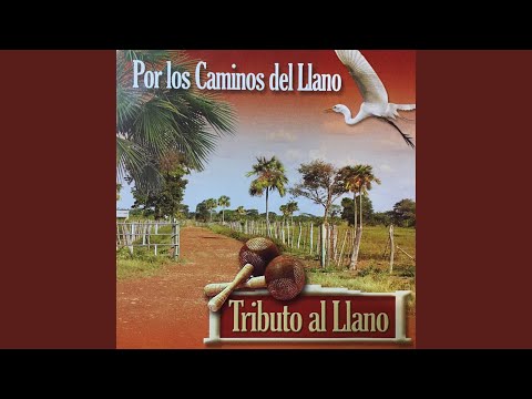 Chaparralito Llanero