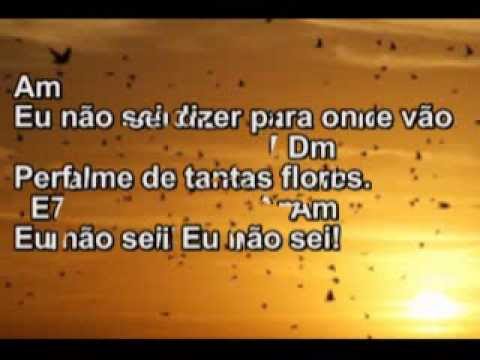 Hinário Espírita -  6 Almas das andorinhas