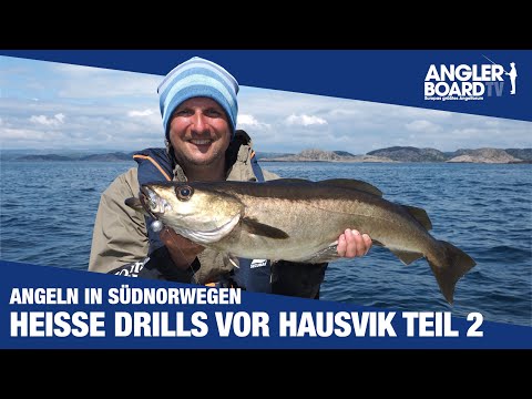 Fishing in Southern Norway ‒ Hot Drills off Hausvik Part 2 ‒ Pollack Fishing, Ling and Float Rigs...