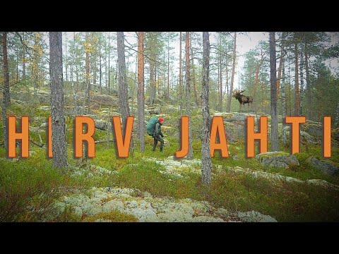 Hirvijahti Käynnissä, Uskaltaako Metsään Mennä RETKELLE? Tutkimassa Uusia Maita Yön Yli RETKELLÄ