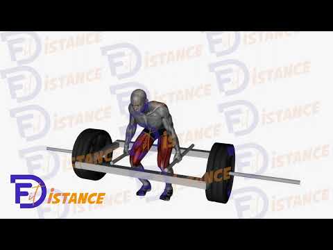 Soulevé de terre à la trap bar - Exercice Soulevé de terre à la trap bar en vidéo