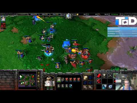 ToD (HU) vs Anima (HU) #1 - Echo Isles - Rus Brain Cup 8